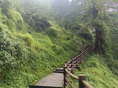 -峨眉山风景名胜区