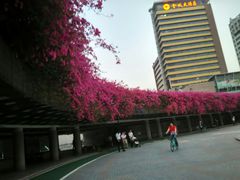 门面-金城大酒店-中餐厅(汾江中路店)