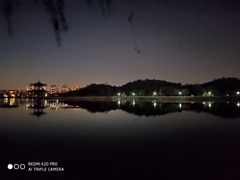 -大港湿地公园