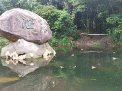 -梧桐山风景名胜区