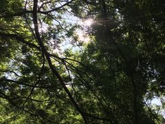 -碓臼峪自然风景区