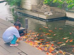 -广州白天鹅宾馆