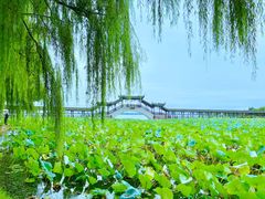 -锦溪古镇