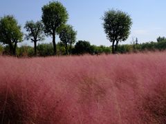 -汉长安城未央宫国家考古遗址公园