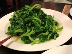 豌豆尖-眉州东坡酒楼