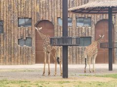 -济南野生动物世界