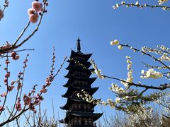 -上海方塔园