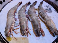 -熊出没日本烧肉放题