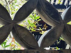-良溪古村