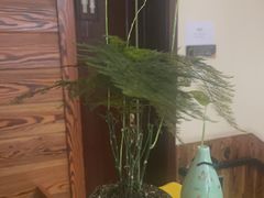 -竹雀古法采耳(青岛麦凯乐店)