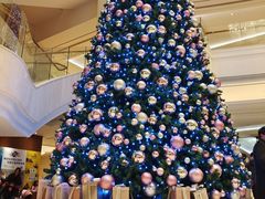 -上海新发展亚太JW万豪酒店