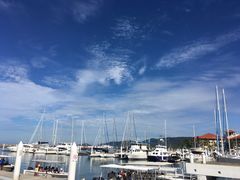 -东姑阿都拉曼海洋公园