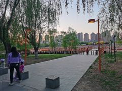 -蒲河岛湿地公园