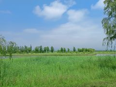 -野鸭湖国家湿地公园