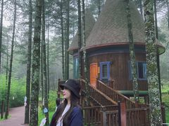 -洛阳白云山景区