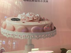 -哈根达斯(西安北郊店)