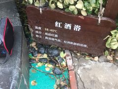 -仁爱团泊湖温泉中心