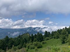 -驼梁风景区