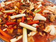 -院8里·小聚园老川菜(九眼桥店)