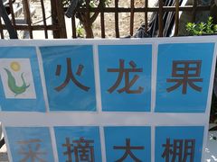 -北京呀路古热带植物园