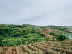 -缥缈峰景区