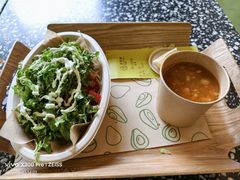 -油梨树AVOCADO TREE(顺义新国展店)