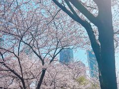 -西北湖绿化广场