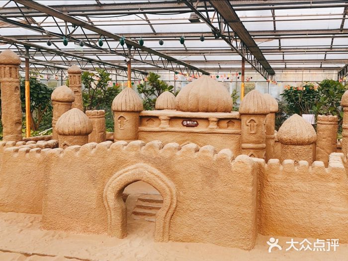 南宫五洲植物乐园图片