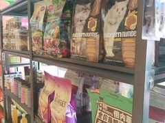 -喵百万·布偶·蓝金金渐层英短·猫舍(百子湾店)