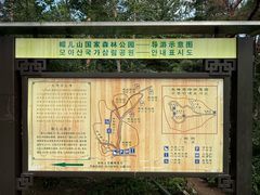 -帽儿山国家森林公园