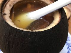 原个椰子炖飞天鸭-達揚原味燉品(文明路店)