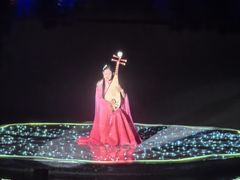 -印象西湖·最忆是杭州实景演出