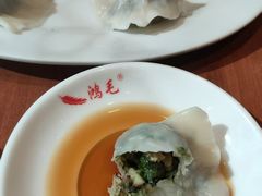 -鸿毛饺子(紫竹桥店)