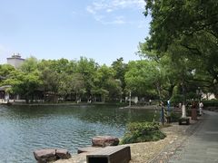 -月湖公园