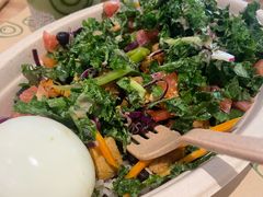 -油梨树 AVOCADO TREE(亮马桥店)