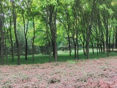 -达活泉公园