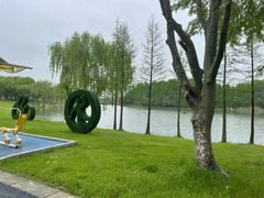 -贡湖湾湿地公园