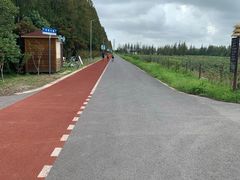 -上海长兴岛郊野公园