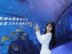 -重庆欢乐海底世界