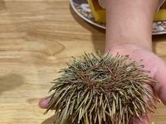 -鮨乐亭Omakase·海胆宴