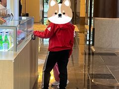 -杭州西溪喜来登度假大酒店