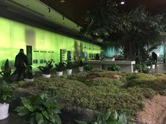 -中国湿地博物馆