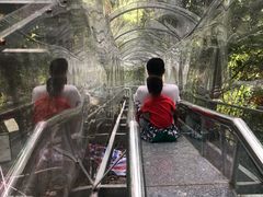 -七仙岭温泉国家森林公园