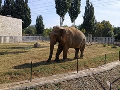 -石家庄市动物园