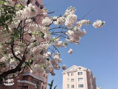 -城阳玛丽妇儿医院·体检中心