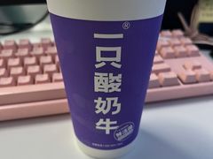 -一只酸奶牛(奎星楼店)