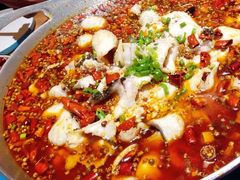 爱妻水煮鱼-爱妻鱼•老体北重庆水煮鱼•川菜(白云路店)