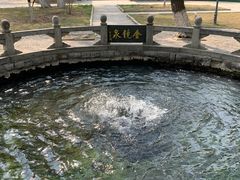 -百脉泉景区