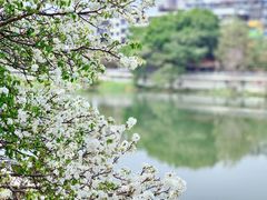 -公园茶楼粤式点心