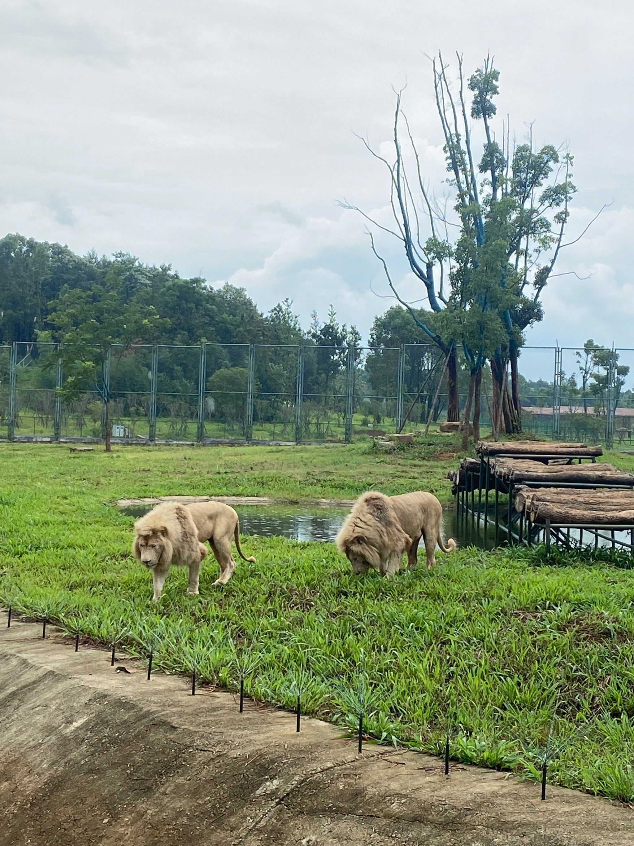汉寿野生动物世界走起啊!